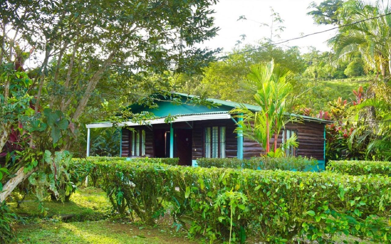 Posada Rio Celeste La Amistad Екстериор снимка