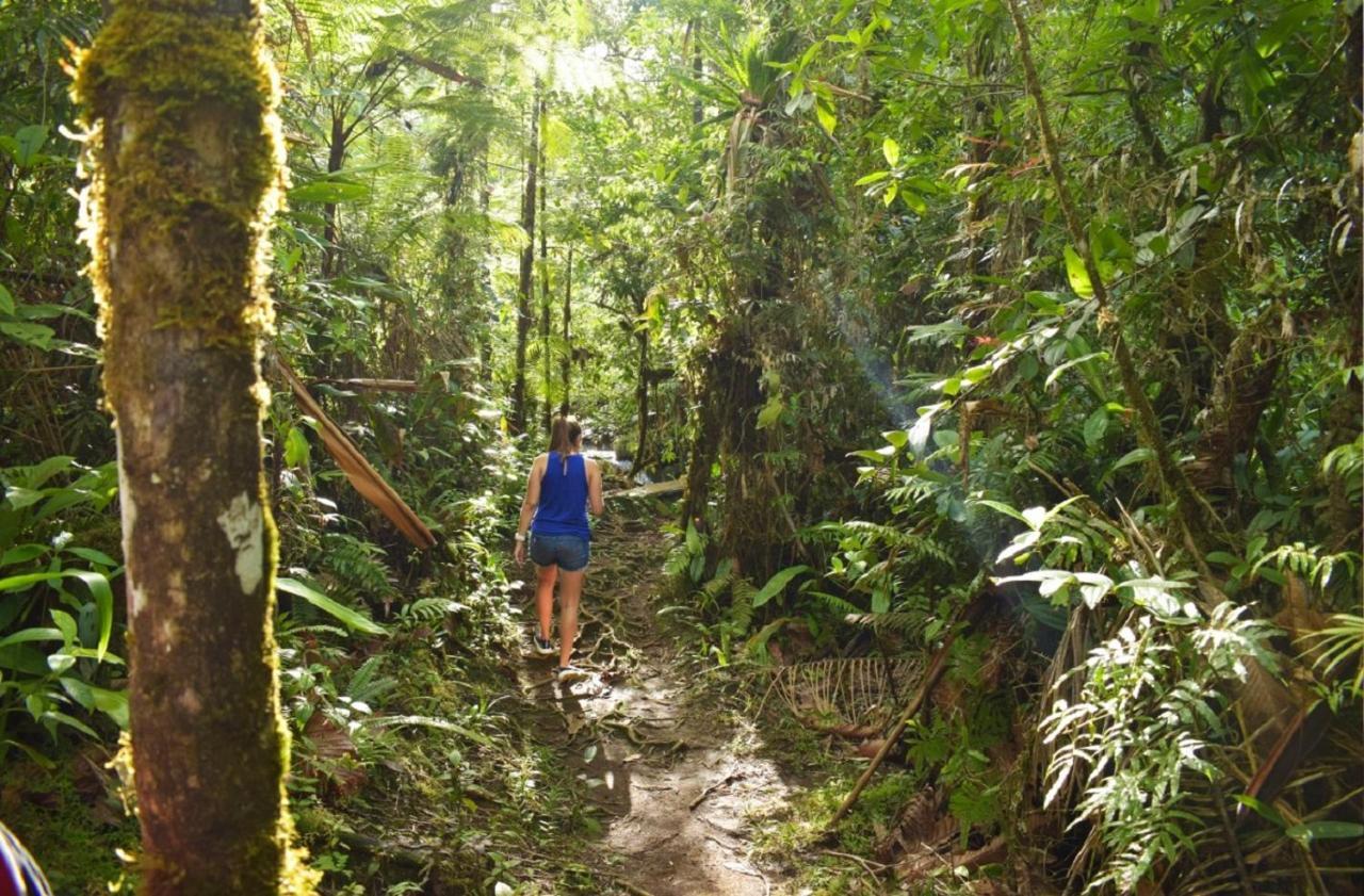 Posada Rio Celeste La Amistad Екстериор снимка