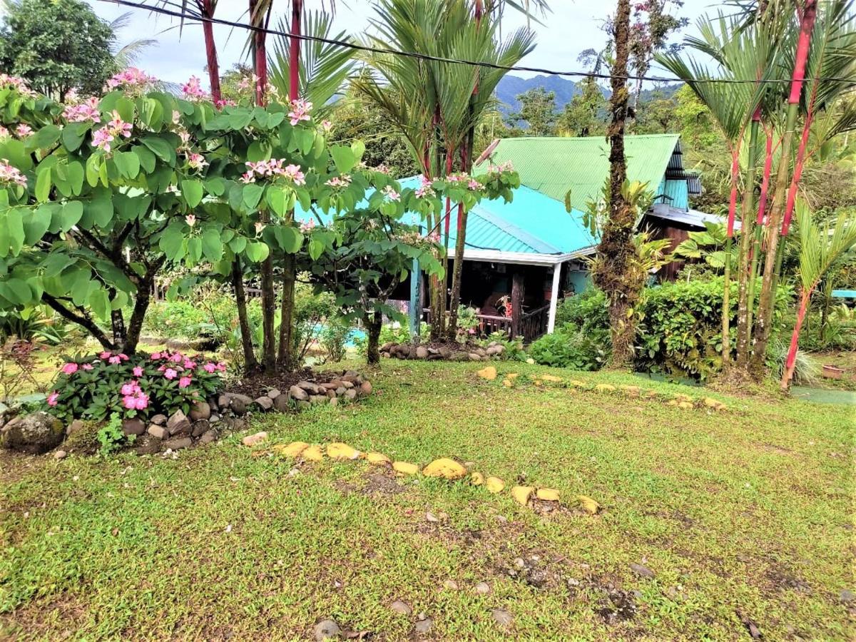 Posada Rio Celeste La Amistad Екстериор снимка