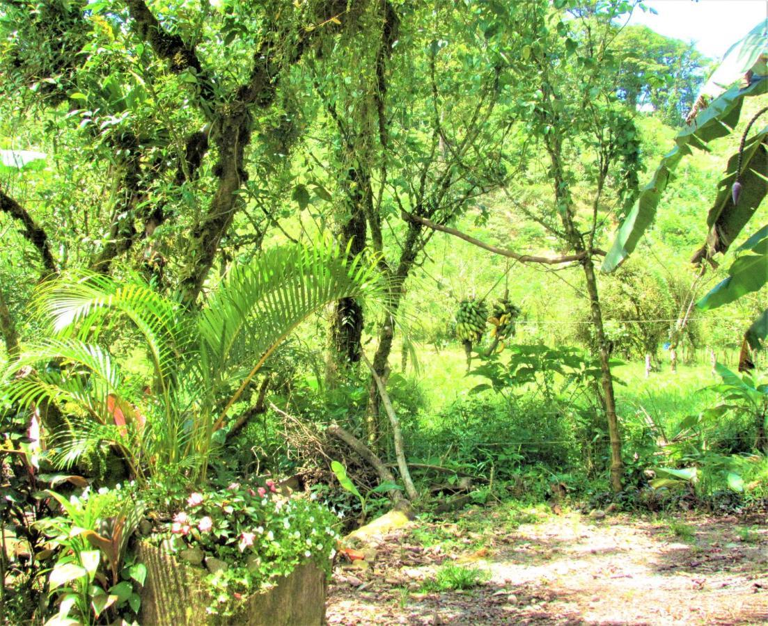 Posada Rio Celeste La Amistad Екстериор снимка
