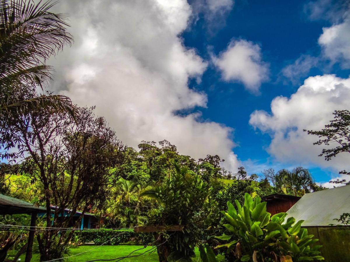 Posada Rio Celeste La Amistad Екстериор снимка