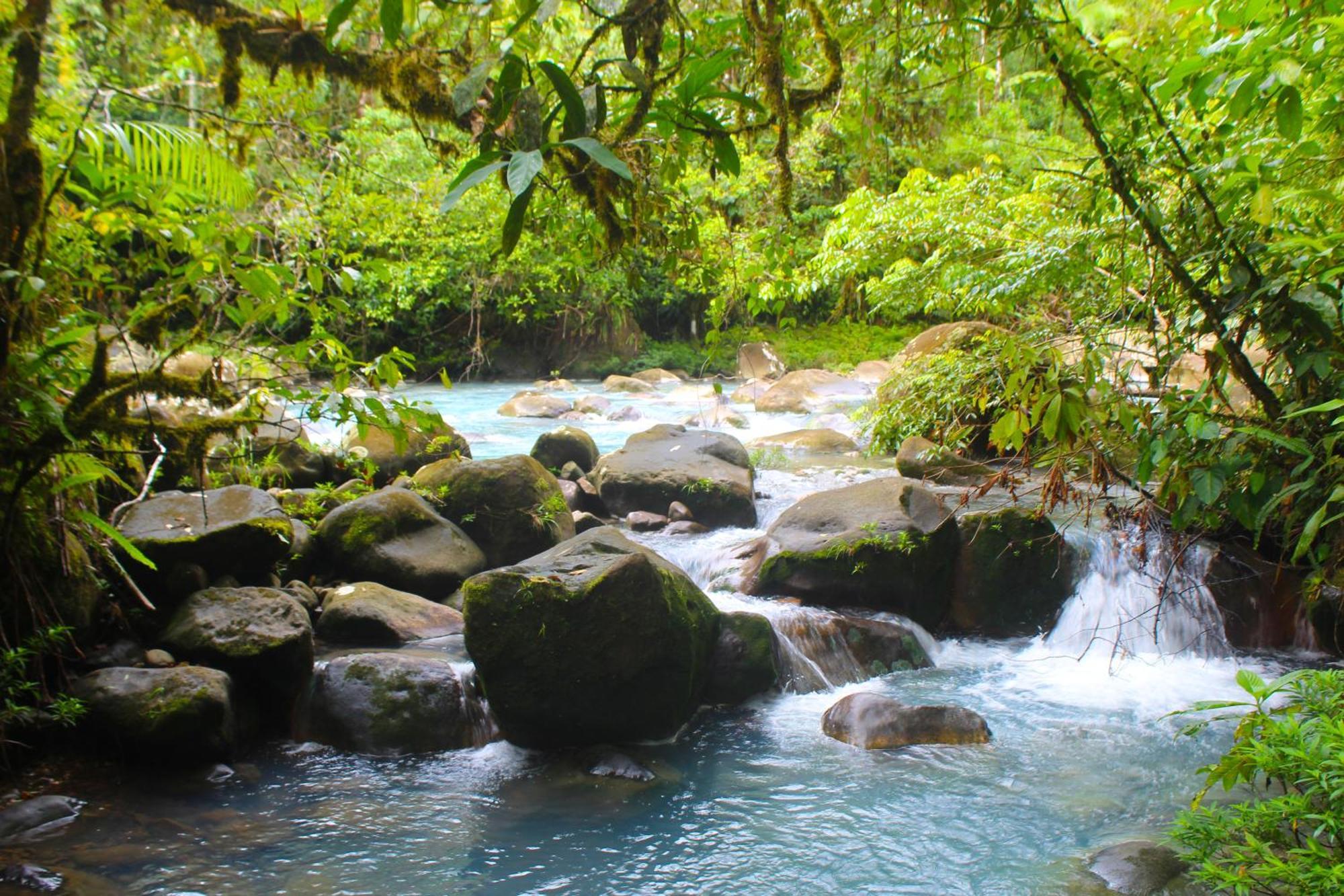 Posada Rio Celeste La Amistad Екстериор снимка