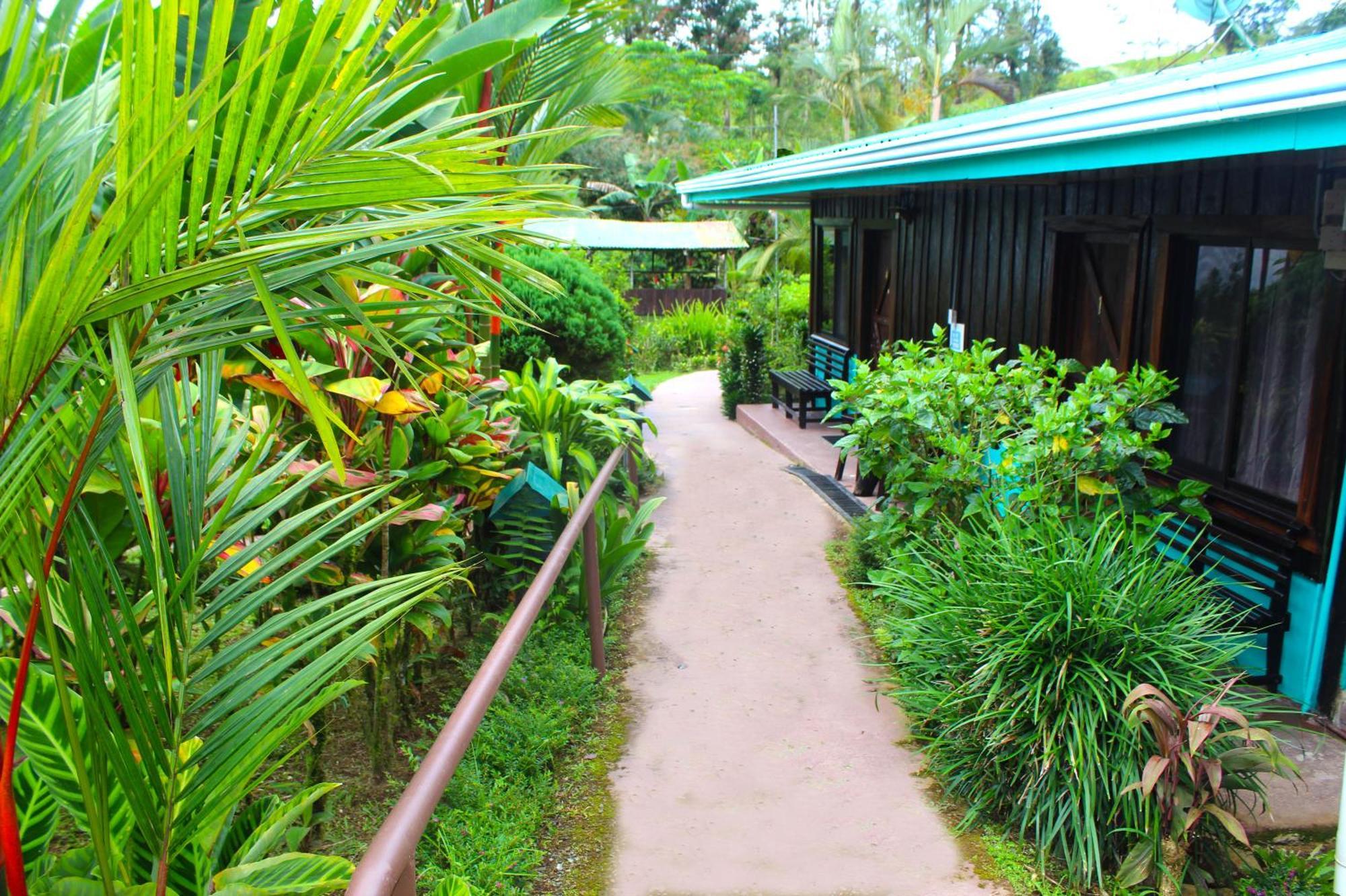Posada Rio Celeste La Amistad Екстериор снимка
