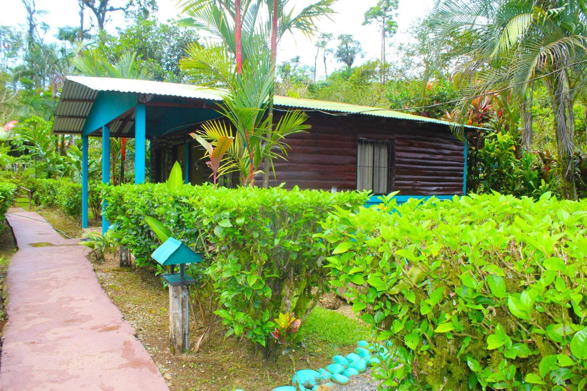 Posada Rio Celeste La Amistad Екстериор снимка