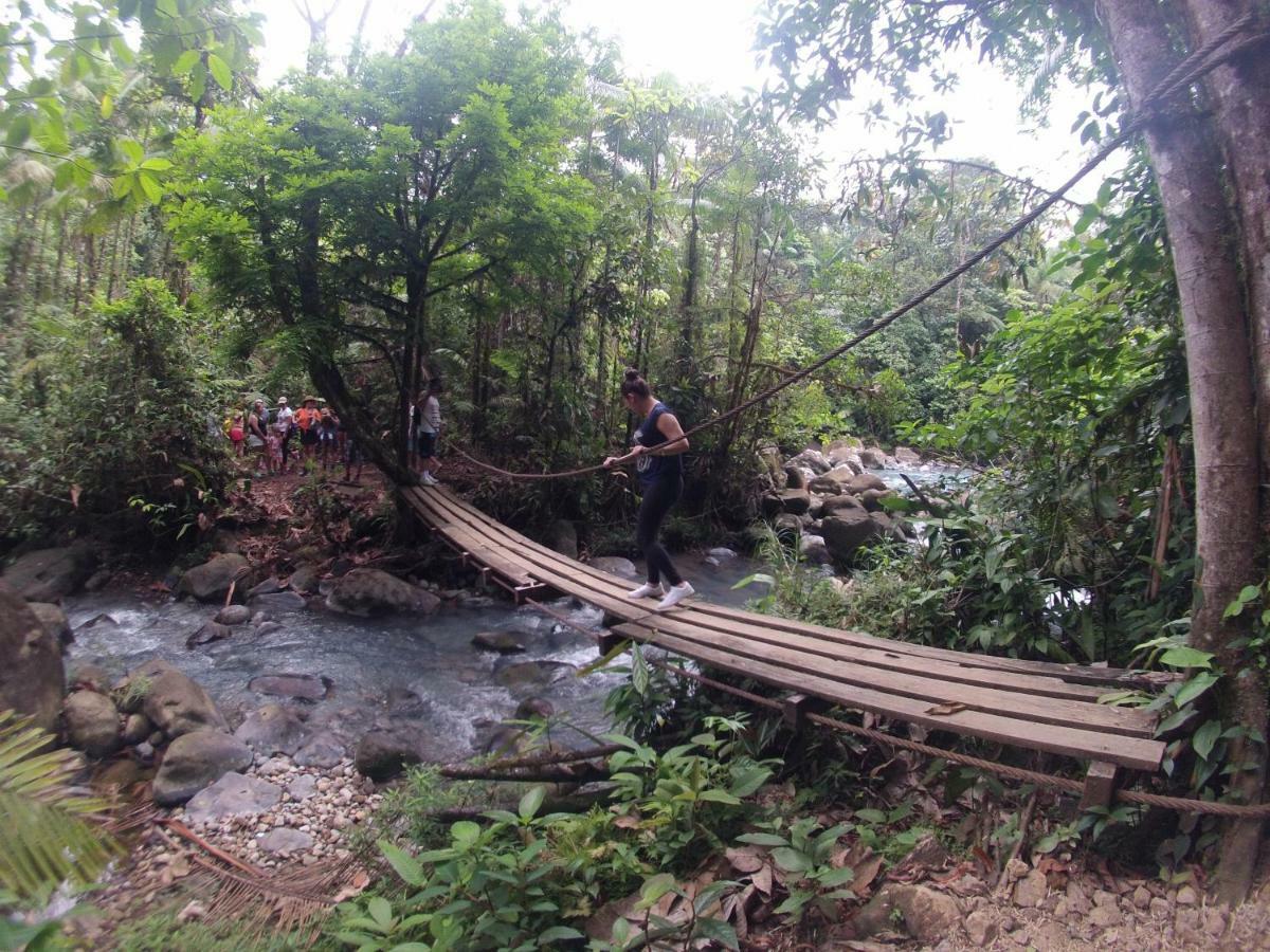 Posada Rio Celeste La Amistad Екстериор снимка